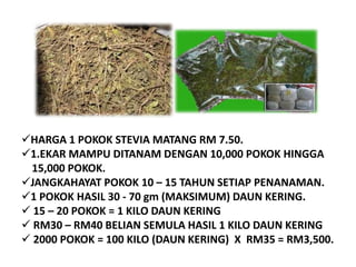 Pembayarankepadapihak Syarikat oleh “RakanNiaga” hendaklahdibuatsecaracekatauTunaikepadawakil Syarikat ataupemegangakaun yang dibenarkan Syarikat.