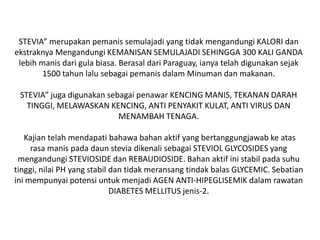 STEVIA” merupakanpemanissemulajadi yang tidakmengandungi KALORI danekstraknyaMengandungi KEMANISAN SEMULAJADI SEHINGGA 300 KALI GANDA lebihmanisdarigulabiasa. Berasaldari Paraguay, ianyatelahdigunakansejak 1500 tahunlalusebagaipemanisdalamMinumandanmakanan.STEVIA” jugadigunakansebagaipenawar KENCING MANIS, TEKANAN DARAH TINGGI, MELAWASKAN KENCING, ANTI PENYAKIT KULAT, ANTI VIRUS DAN MENAMBAH TENAGA.Kajiantelahmendapatibahawabahanaktif yang bertanggungjawabkeatas rasa manispadadaunsteviadikenalisebagai STEVIOL GLYCOSIDES yang mengandungi STEVIOSIDE dan REBAUDIOSIDE. Bahanaktifinistabilpadasuhutinggi, nilai PH yang stabildantidakmeransangtindakbalas GLYCEMIC. Sebatianinimempunyaipotensiuntukmenjadi AGEN ANTI-HIPEGLISEMIK dalamrawatanDIABETES MELLITUS jenis-2. 