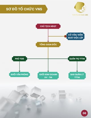SƠ ĐỒ TỔ CHỨC VNS
CHỦ TỊCH HĐQT
TỔNG GIÁM ĐỐC
CỐ VẤN/ KIỂM
SOÁT ĐỘC LẬP
PHÓ TGĐ QUẢN TRỊ TTTM
KHỐI VĂN PHÒNG KHỐI KINH DOANH
DV - TM
BAN QUẢN LÝ
TTTM
06
 