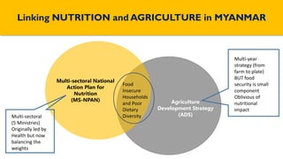 Profiling Food Insecurity and Rural Diets in Myanmar