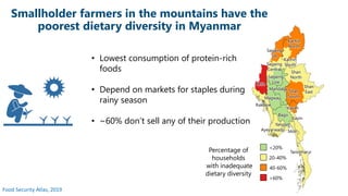 Profiling Food Insecurity and Rural Diets in Myanmar