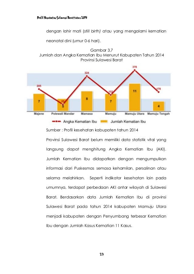 Status Gizi Kehamilan  Blog Kata2