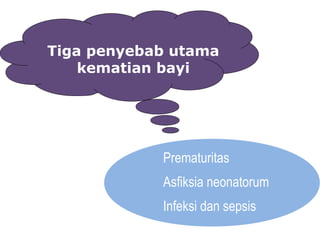 Tiga penyebab utama
kematian bayi
Prematuritas
Asfiksia neonatorum
Infeksi dan sepsis
 