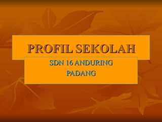 PROFIL SEKOLAH SDN 16 ANDURING PADANG 