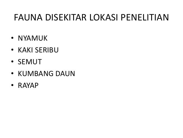 Profil tanah (lapisan tanah)