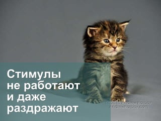 Стимулы
не работают
и даже
раздражают
 