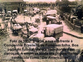 Foto de 1932. Mostra a rua em frente à
Companhia Brasileira de Fumo em folha. Boa
parte do fumo ainda era transportado em
carroças. A empresa ainda era popularmente
conhecida como “Die Americanen”.
(CEDOC/UNISC)
Transportando o FumoTransportando o Fumo
 