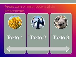 Áreas com o maior potencial de
crescimento
Texto 1 Texto 2 Texto 3
 