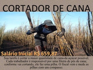 CORTADOR DE CANA
Sua tarefa é cortar a maior quantidade de cana-de-açúcar possível.
Cada trabalhador é responsável por uma fileira de pés de cana;
conforme vai cortando, ele faz uma pilha. O fiscal vem e mede as
pilhas com um compasso.
 