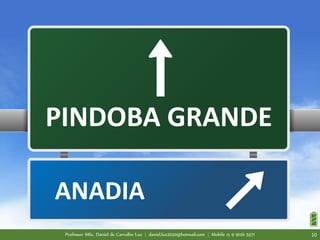 PINDOBA GRANDE
ANADIA
Professor MSc. Daniel de Carvalho Luz | daniel.luz2020@hotmail.com | Mobile 15 9 9126 5571 10
 