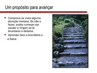 Um propósito para avançar
 Comprova se vives alguma
devoção mariana. Se não o
fazes, podes começar por
saudar a Virgem ao te
levantares e deitares.
 Aprender bem a Ave-Maria e
a Salve.
 