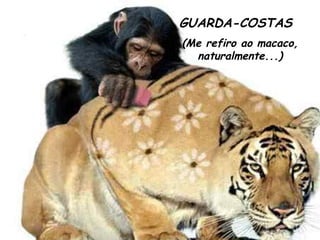 GUARDA-COSTAS (Me refiro ao macaco, naturalmente...) 
