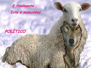 E finalmente..  Este é molezinha! POLÍTICO 