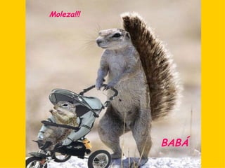 Moleza!!! BABÁ 