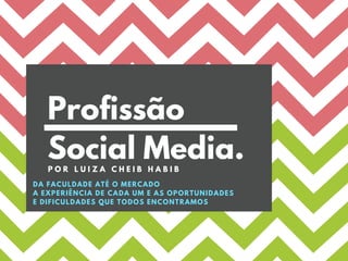 Profissão Social Media - Por Luiza Cheib Habib