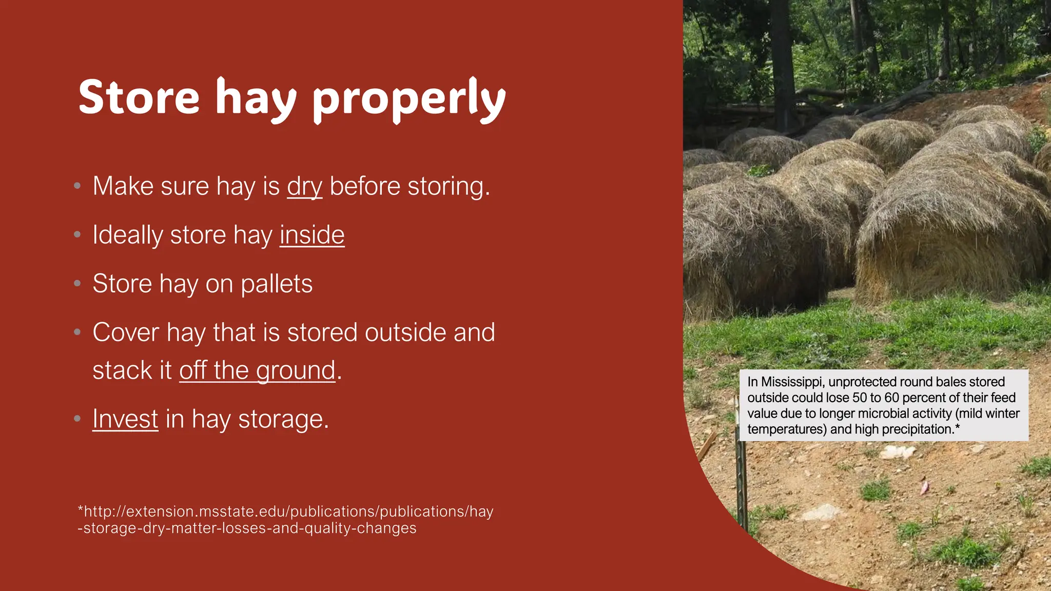 Store hay properly
• Make sure hay is dry before storing.
• Ideally store hay inside
• Store hay on pallets
• Cover hay that is stored outside and
stack it off the ground.
• Invest in hay storage.
*http://extension.msstate.edu/publications/publications/hay
-storage-dry-matter-losses-and-quality-changes
2/8/20XX 11
In Mississippi, unprotected round bales stored
outside could lose 50 to 60 percent of their feed
value due to longer microbial activity (mild winter
temperatures) and high precipitation.*
 