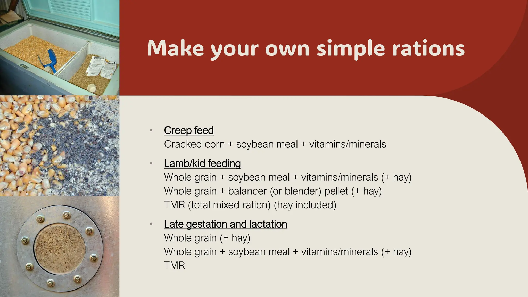 Make your own simple rations
• Creep feed
Cracked corn + soybean meal + vitamins/minerals
• Lamb/kid feeding
Whole grain + soybean meal + vitamins/minerals (+ hay)
Whole grain + balancer (or blender) pellet (+ hay)
TMR (total mixed ration) (hay included)
• Late gestation and lactation
Whole grain (+ hay)
Whole grain + soybean meal + vitamins/minerals (+ hay)
TMR
Sample Footer Text
 