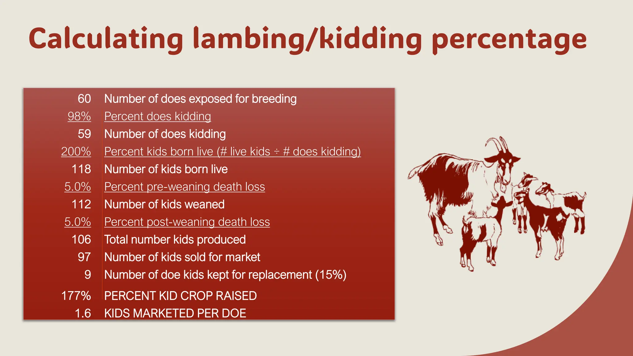 Calculating lambing/kidding percentage
60 Number of does exposed for breeding
98% Percent does kidding
59 Number of does kidding
200% Percent kids born live (# live kids ÷ # does kidding)
118 Number of kids born live
5.0% Percent pre-weaning death loss
112 Number of kids weaned
5.0% Percent post-weaning death loss
106 Total number kids produced
97 Number of kids sold for market
9 Number of doe kids kept for replacement (15%)
177% PERCENT KID CROP RAISED
1.6 KIDS MARKETED PER DOE
 