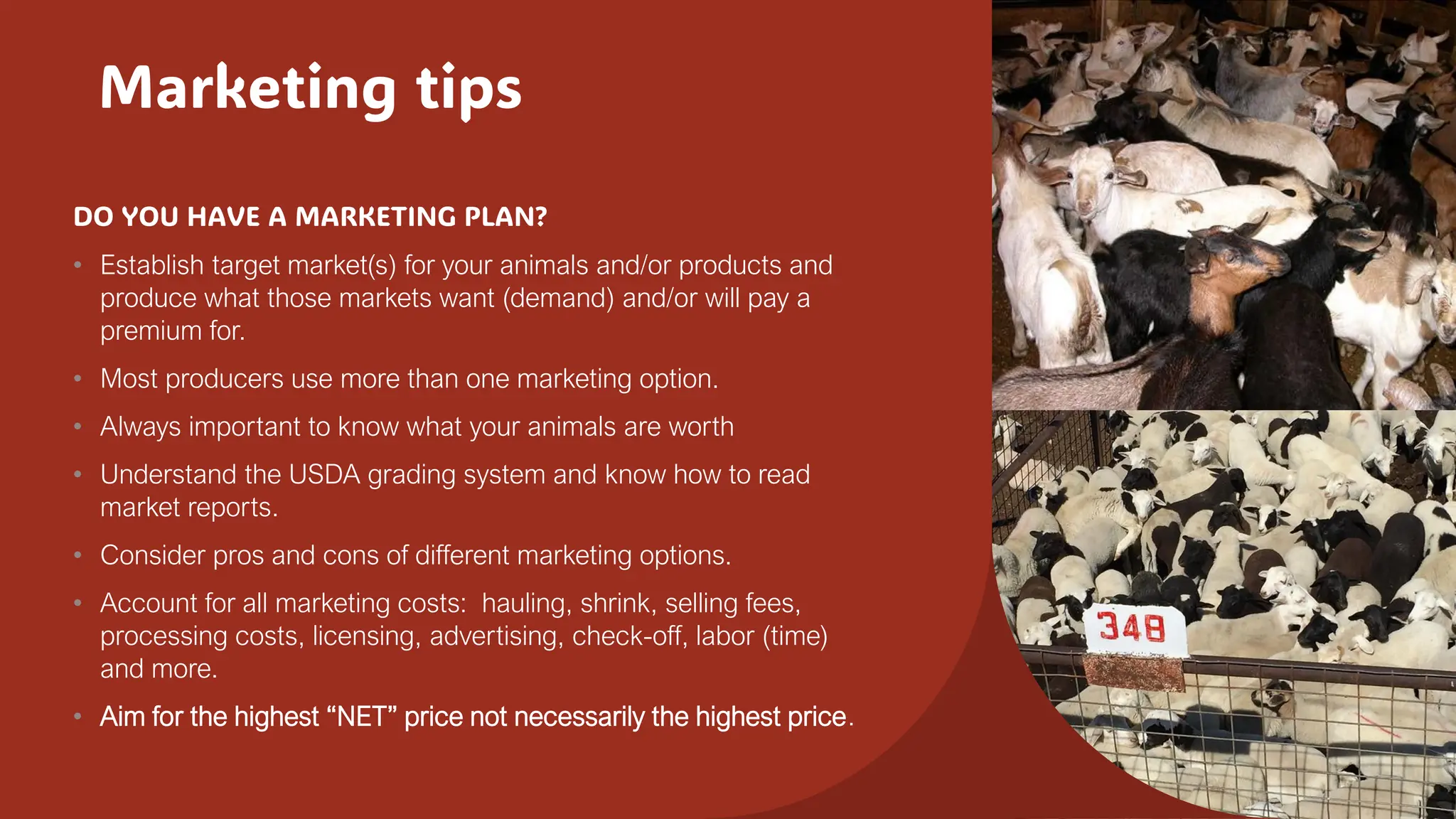Marketing tips
DO YOU HAVE A MARKETING PLAN?
• Establish target market(s) for your animals and/or products and
produce what those markets want (demand) and/or will pay a
premium for.
• Most producers use more than one marketing option.
• Always important to know what your animals are worth
• Understand the USDA grading system and know how to read
market reports.
• Consider pros and cons of different marketing options.
• Account for all marketing costs: hauling, shrink, selling fees,
processing costs, licensing, advertising, check-off, labor (time)
and more.
• Aim for the highest “NET” price not necessarily the highest price.
 
