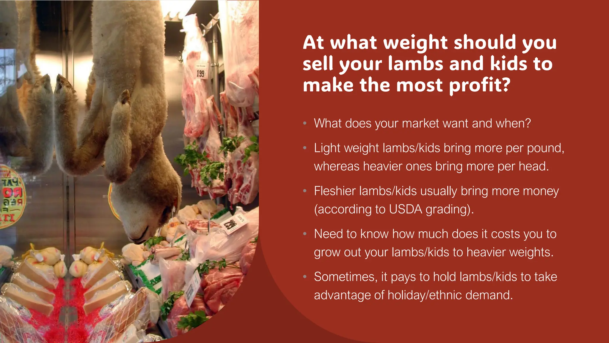 At what weight should you
sell your lambs and kids to
make the most profit?
• What does your market want and when?
• Light weight lambs/kids bring more per pound,
whereas heavier ones bring more per head.
• Fleshier lambs/kids usually bring more money
(according to USDA grading).
• Need to know how much does it costs you to
grow out your lambs/kids to heavier weights.
• Sometimes, it pays to hold lambs/kids to take
advantage of holiday/ethnic demand.
 