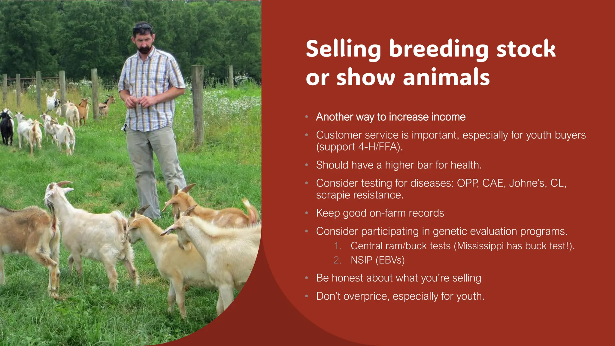 Selling breeding stock
or show animals
• Another way to increase income
• Customer service is important, especially for youth buyers
(support 4-H/FFA).
• Should have a higher bar for health.
• Consider testing for diseases: OPP, CAE, Johne’s, CL,
scrapie resistance.
• Keep good on-farm records
• Consider participating in genetic evaluation programs.
1. Central ram/buck tests (Mississippi has buck test!).
2. NSIP (EBVs)
• Be honest about what you’re selling
• Don’t overprice, especially for youth.
 