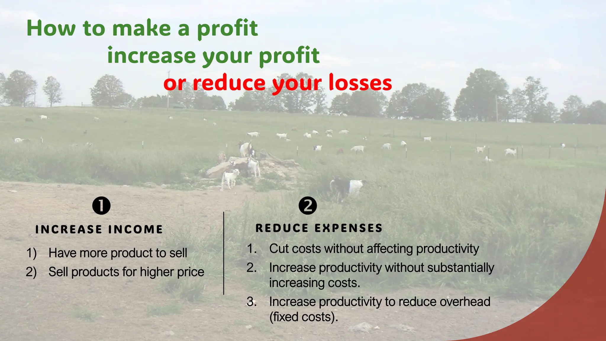 How to make a profit
increase your profit
or reduce your losses
R E DUC E E X P E N S E S
1. Cut costs without affecting productivity
2. Increase productivity without substantially
increasing costs.
3. Increase productivity to reduce overhead
(fixed costs).
I N C R E A S E I N C OME
1) Have more product to sell
2) Sell products for higher price
 
 