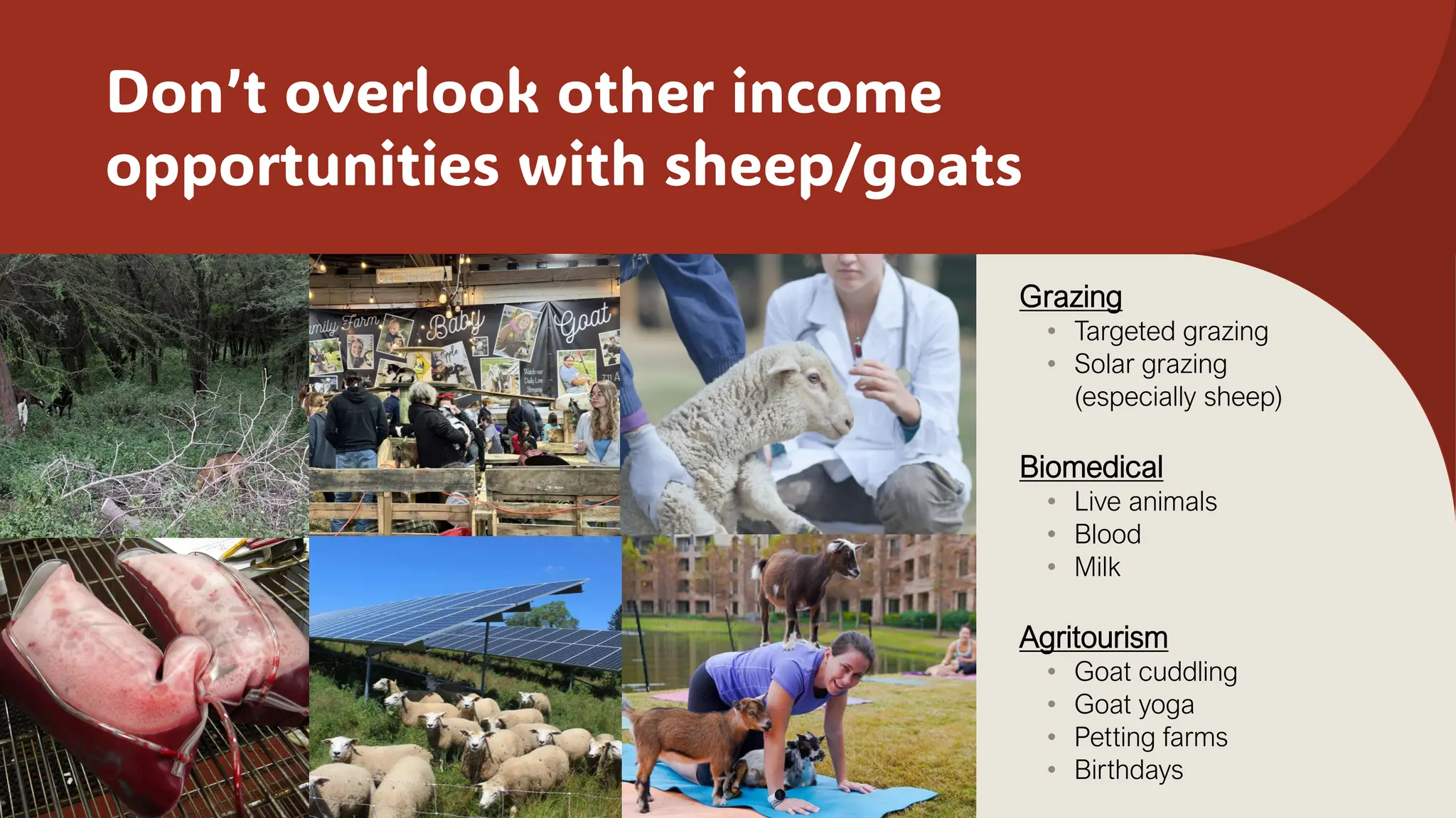 Don’t overlook other income
opportunities with sheep/goats
Grazing
• Targeted grazing
• Solar grazing
(especially sheep)
Biomedical
• Live animals
• Blood
• Milk
Agritourism
• Goat cuddling
• Goat yoga
• Petting farms
• Birthdays
 