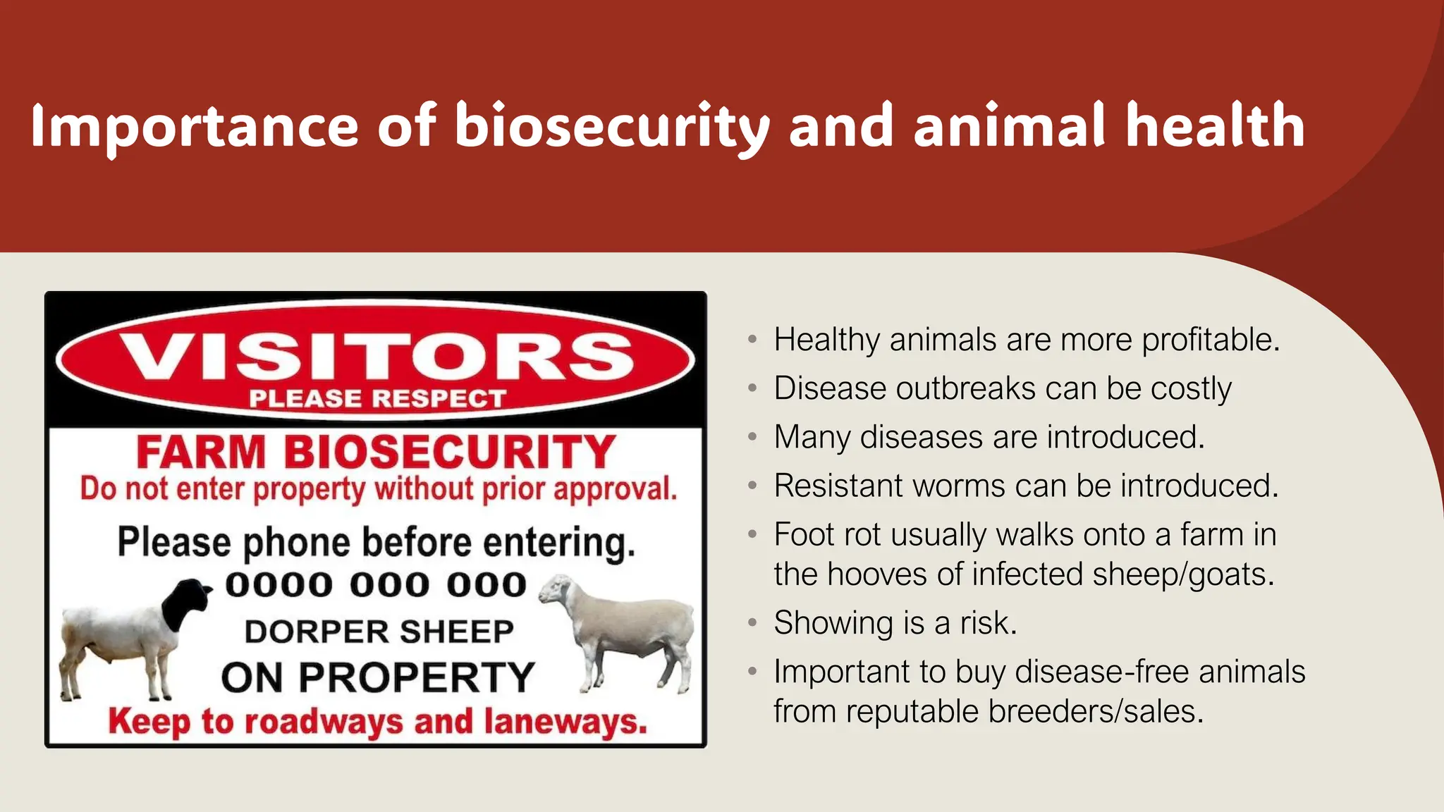 Importance of biosecurity and animal health
• Healthy animals are more profitable.
• Disease outbreaks can be costly
• Many diseases are introduced.
• Resistant worms can be introduced.
• Foot rot usually walks onto a farm in
the hooves of infected sheep/goats.
• Showing is a risk.
• Important to buy disease-free animals
from reputable breeders/sales.
 