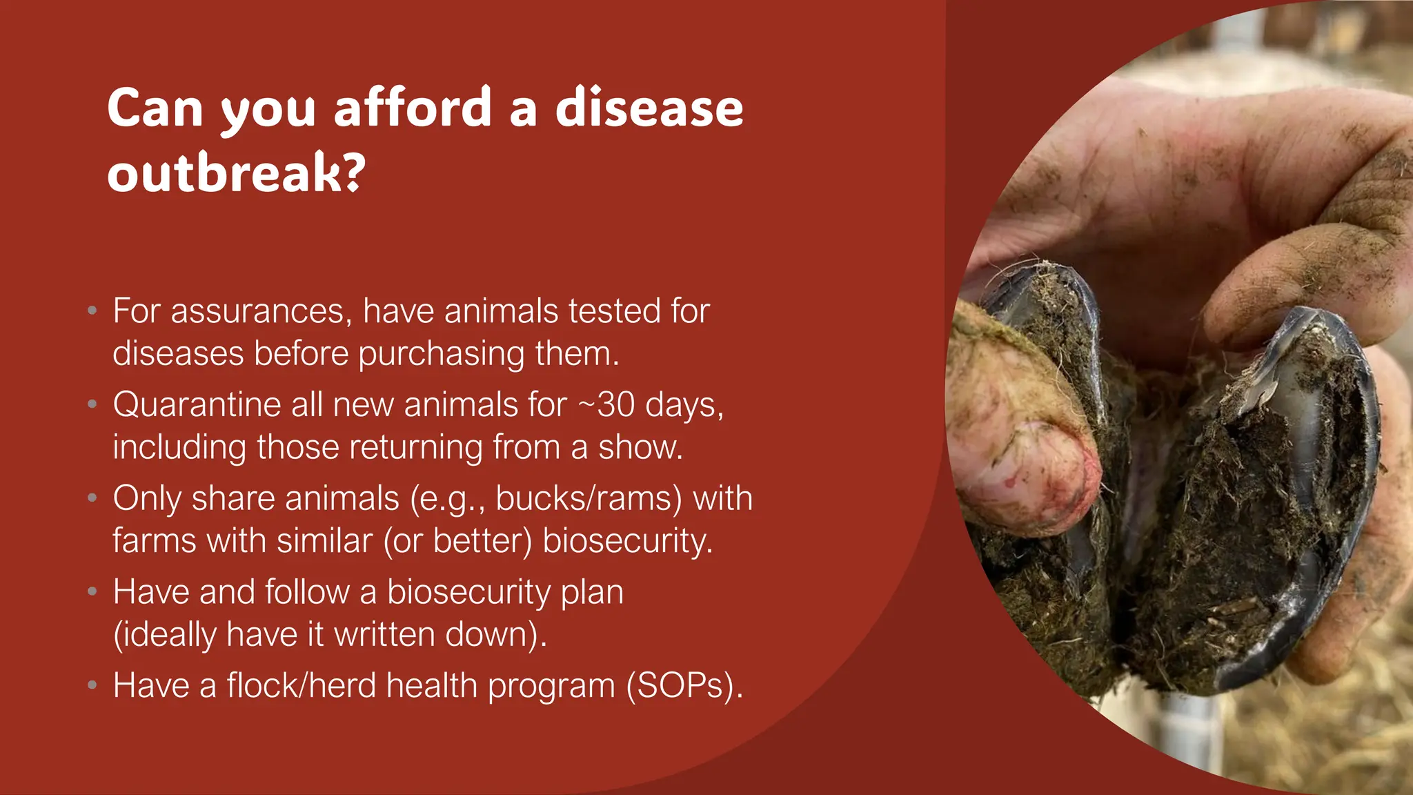 Can you afford a disease
outbreak?
• For assurances, have animals tested for
diseases before purchasing them.
• Quarantine all new animals for ~30 days,
including those returning from a show.
• Only share animals (e.g., bucks/rams) with
farms with similar (or better) biosecurity.
• Have and follow a biosecurity plan
(ideally have it written down).
• Have a flock/herd health program (SOPs).
 