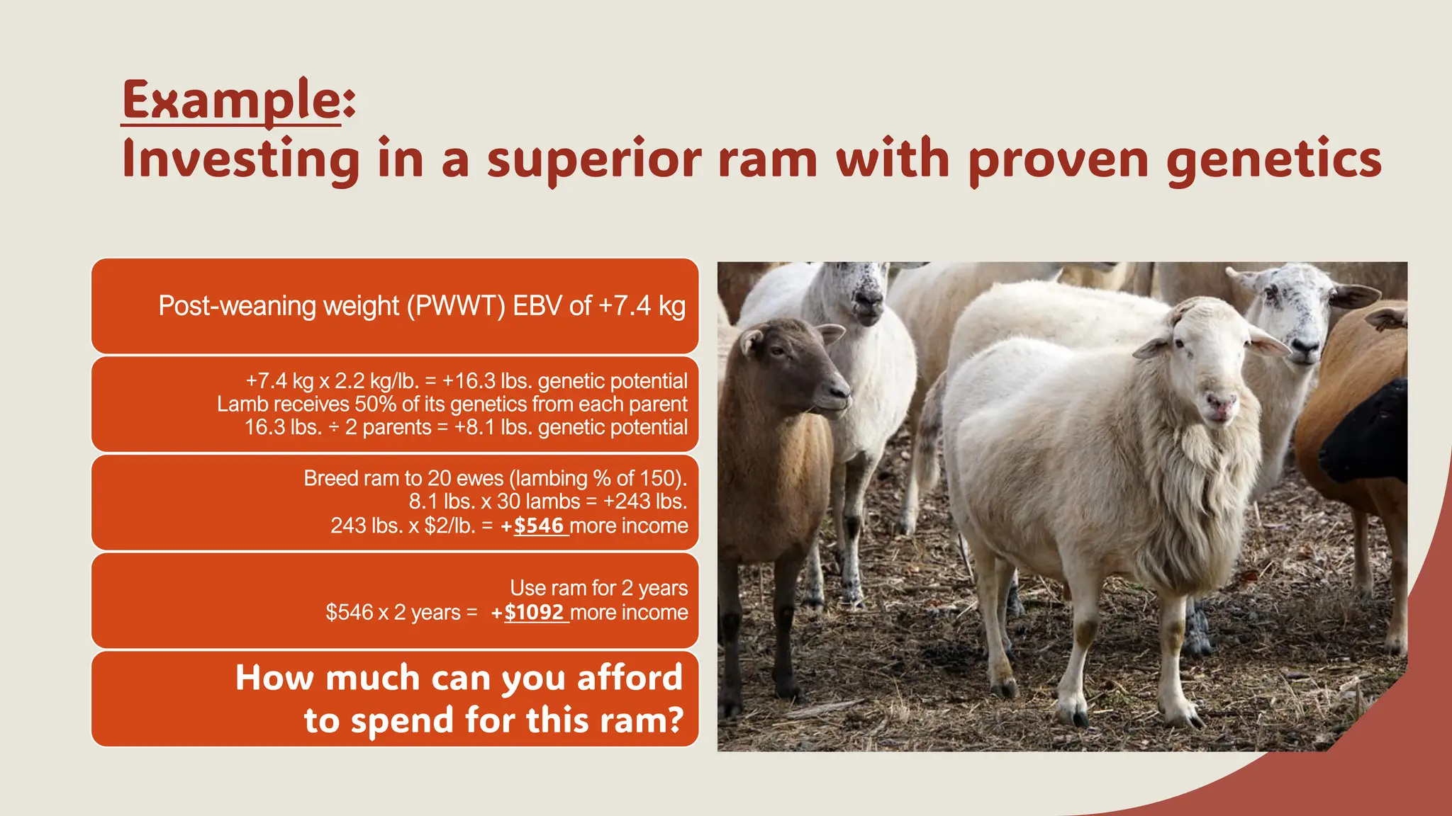 Example:
Investing in a superior ram with proven genetics
Post-weaning weight (PWWT) EBV of +7.4 kg
+7.4 kg x 2.2 kg/lb. = +16.3 lbs. genetic potential
Lamb receives 50% of its genetics from each parent
16.3 lbs. ÷ 2 parents = +8.1 lbs. genetic potential
Breed ram to 20 ewes (lambing % of 150).
8.1 lbs. x 30 lambs = +243 lbs.
243 lbs. x $2/lb. = +$546 more income
Use ram for 2 years
$546 x 2 years = +$1092 more income
How much can you afford
to spend for this ram?
 