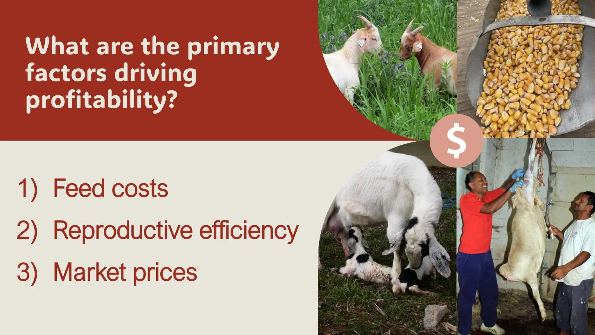 What are the primary
factors driving
profitability?
1) Feed costs
2) Reproductive efficiency
3) Market prices
 