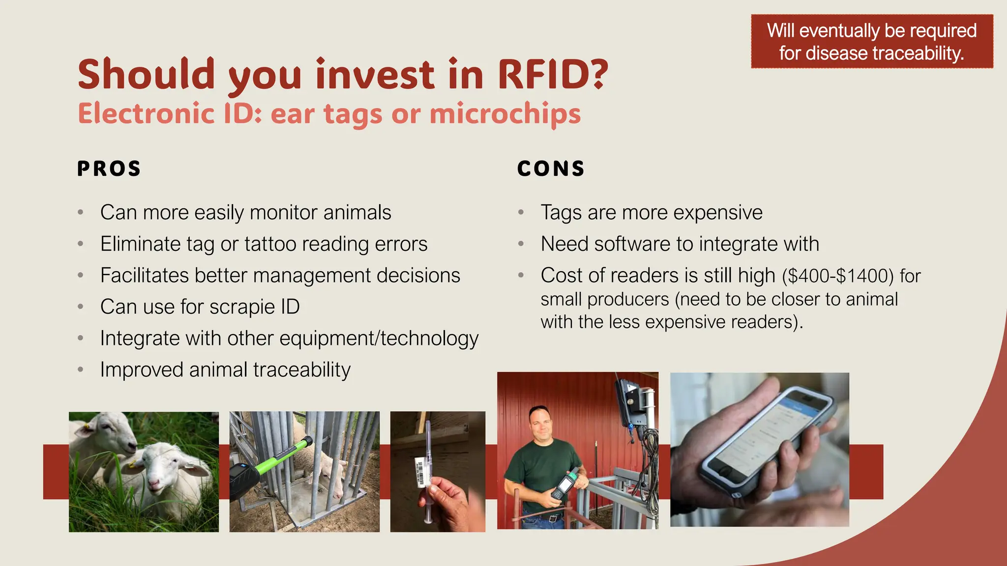 Should you invest in RFID?
Electronic ID: ear tags or microchips
PROS
• Can more easily monitor animals
• Eliminate tag or tattoo reading errors
• Facilitates better management decisions
• Can use for scrapie ID
• Integrate with other equipment/technology
• Improved animal traceability
CONS
• Tags are more expensive
• Need software to integrate with
• Cost of readers is still high ($400-$1400) for
small producers (need to be closer to animal
with the less expensive readers).
Will eventually be required
for disease traceability.
 