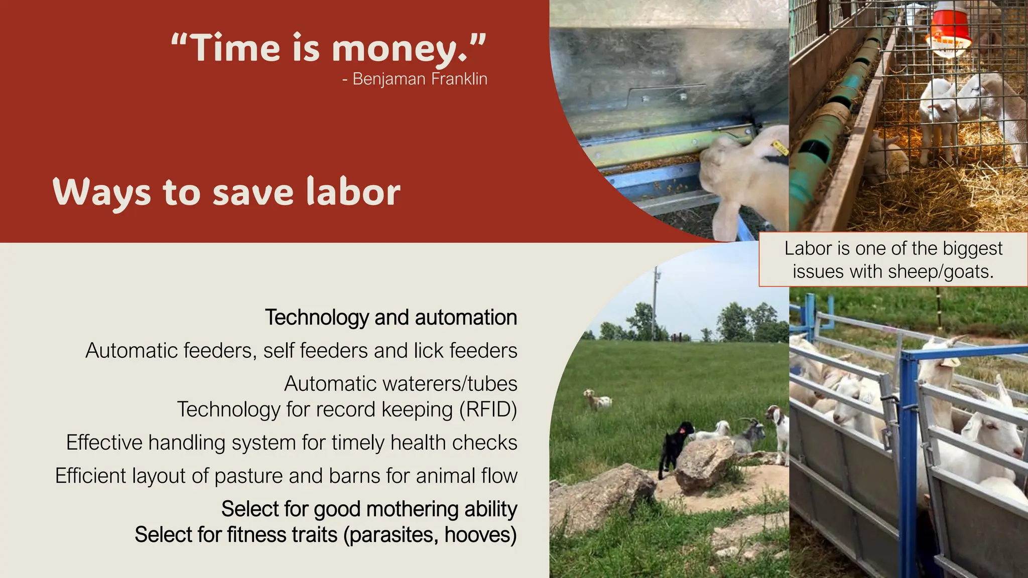 “Time is money.”
- Benjaman Franklin
Technology and automation
Automatic feeders, self feeders and lick feeders
Automatic waterers/tubes
Technology for record keeping (RFID)
Effective handling system for timely health checks
Efficient layout of pasture and barns for animal flow
Select for good mothering ability
Select for fitness traits (parasites, hooves)
Ways to save labor
Labor is one of the biggest
issues with sheep/goats.
 