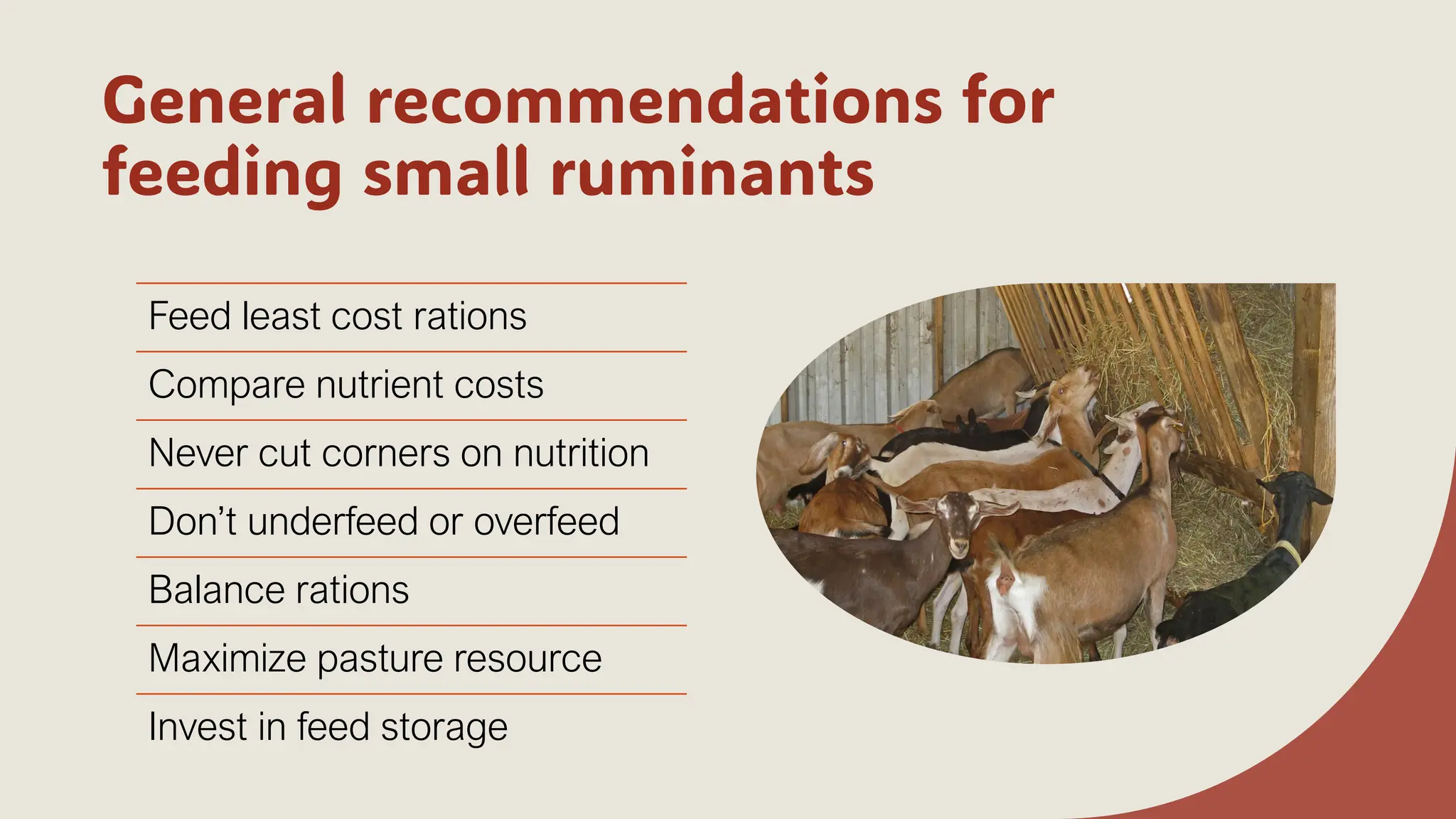 General recommendations for
feeding small ruminants
Feed least cost rations
Compare nutrient costs
Never cut corners on nutrition
Don’t underfeed or overfeed
Balance rations
Maximize pasture resource
Invest in feed storage
 