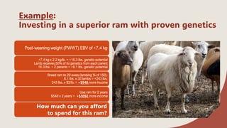 Sag Ruminants Making a profit with small ruminants (sheep/goats) | PDF