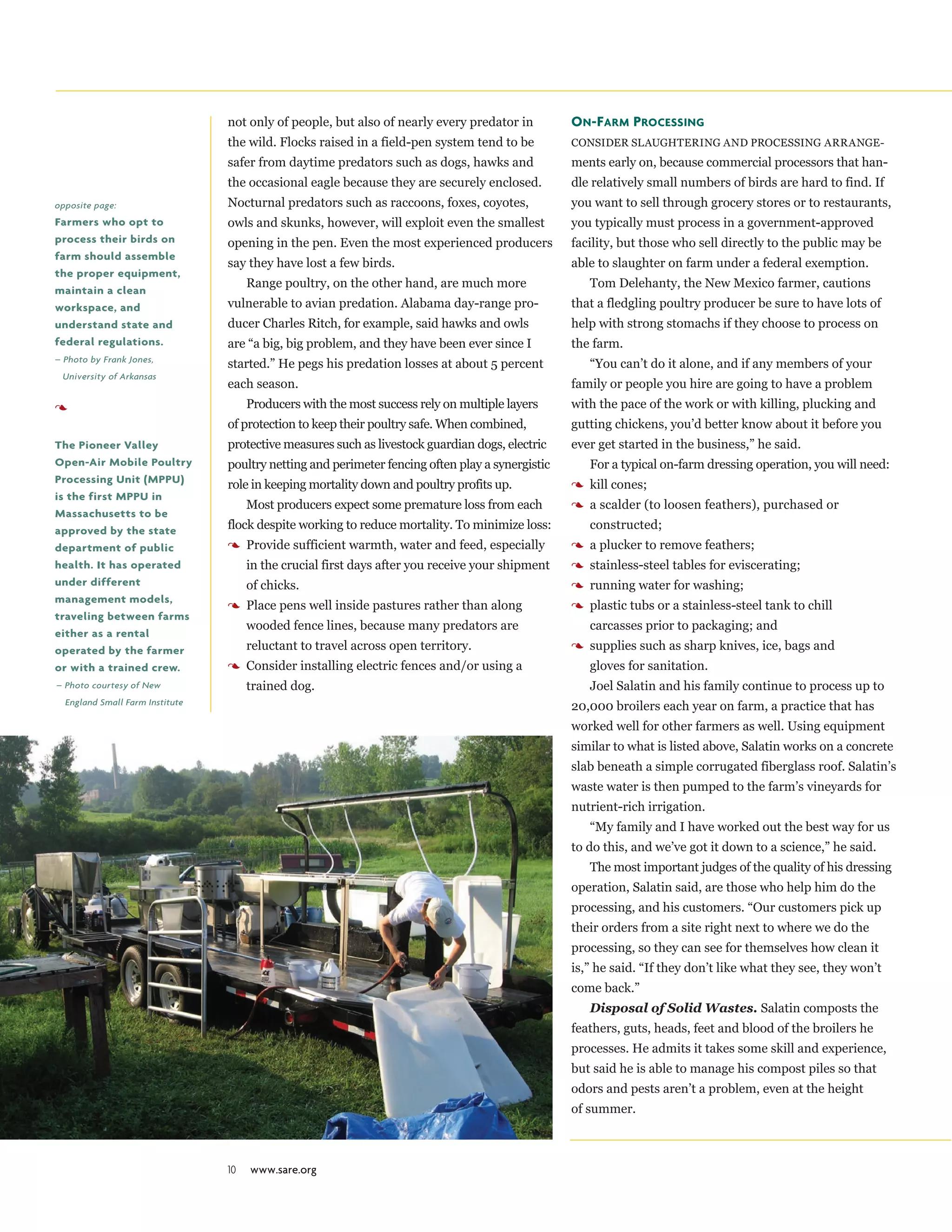 10 www.sare.org
not only of people, but also of nearly every predator in
the wild. Flocks raised in a field-pen system tend to be
safer from daytime predators such as dogs, hawks and
the occasional eagle because they are securely enclosed.
Nocturnal predators such as raccoons, foxes, coyotes,
owls and skunks, however, will exploit even the smallest
opening in the pen. Even the most experienced producers
say they have lost a few birds.
Range poultry, on the other hand, are much more
vulnerable to avian predation. Alabama day-range pro-
ducer Charles Ritch, for example, said hawks and owls
are “a big, big problem, and they have been ever since I
started.” He pegs his predation losses at about 5 percent
each season.
Producers with the most success rely on multiple layers
of protection to keep their poultry safe. When combined,
protective measures such as livestock guardian dogs, electric
poultry netting and perimeter fencing often play a synergistic
role in keeping mortality down and poultry profits up.
Most producers expect some premature loss from each
flock despite working to reduce mortality. To minimize loss:
3	Provide sufficient warmth, water and feed, especially
in the crucial first days after you receive your shipment
of chicks.
3	Place pens well inside pastures rather than along
wooded fence lines, because many predators are
reluctant to travel across open territory.
3	Consider installing electric fences and/or using a
trained dog.
On-Farm Processing
Consider slaughtering and processing arrange-
ments early on, because commercial processors that han-
dle relatively small numbers of birds are hard to find. If
you want to sell through grocery stores or to restaurants,
you typically must process in a government-approved
facility, but those who sell directly to the public may be
able to slaughter on farm under a federal exemption.
Tom Delehanty, the New Mexico farmer, cautions
that a fledgling poultry producer be sure to have lots of
help with strong stomachs if they choose to process on
the farm.
“You can’t do it alone, and if any members of your
family or people you hire are going to have a problem
with the pace of the work or with killing, plucking and
gutting chickens, you’d better know about it before you
ever get started in the business,” he said.
For a typical on-farm dressing operation, you will need:
3	kill cones;
3	a scalder (to loosen feathers), purchased or
constructed;
3	a plucker to remove feathers;
3	stainless-steel tables for eviscerating;
3	running water for washing;
3	plastic tubs or a stainless-steel tank to chill
carcasses prior to packaging; and
3	supplies such as sharp knives, ice, bags and
gloves for sanitation.
Joel Salatin and his family continue to process up to
20,000 broilers each year on farm, a practice that has
worked well for other farmers as well. Using equipment
similar to what is listed above, Salatin works on a concrete
slab beneath a simple corrugated fiberglass roof. Salatin’s
waste water is then pumped to the farm’s vineyards for
nutrient-rich irrigation.
“My family and I have worked out the best way for us
to do this, and we’ve got it down to a science,” he said.
The most important judges of the quality of his dressing
operation, Salatin said, are those who help him do the
processing, and his customers. “Our customers pick up
their orders from a site right next to where we do the
processing, so they can see for themselves how clean it
is,” he said. “If they don’t like what they see, they won’t
come back.”
Disposal of Solid Wastes. Salatin composts the
feathers, guts, heads, feet and blood of the broilers he
processes. He admits it takes some skill and experience,
but said he is able to manage his compost piles so that
odors and pests aren’t a problem, even at the height
of summer.
opposite page:
Farmers who opt to
process their birds on
farm should assemble
the proper equipment,
maintain a clean
workspace, and
understand state and
federal regulations.
– Photo by Frank Jones,
University of Arkansas
3
The Pioneer Valley
Open-Air Mobile Poultry
Processing Unit (MPPU)
is the first MPPU in
Massachusetts to be
approved by the state
department of public
health. It has operated
under different
management models,
traveling between farms
either as a rental
operated by the farmer
or with a trained crew.
 – Photo courtesy of New
England Small Farm Institute
 