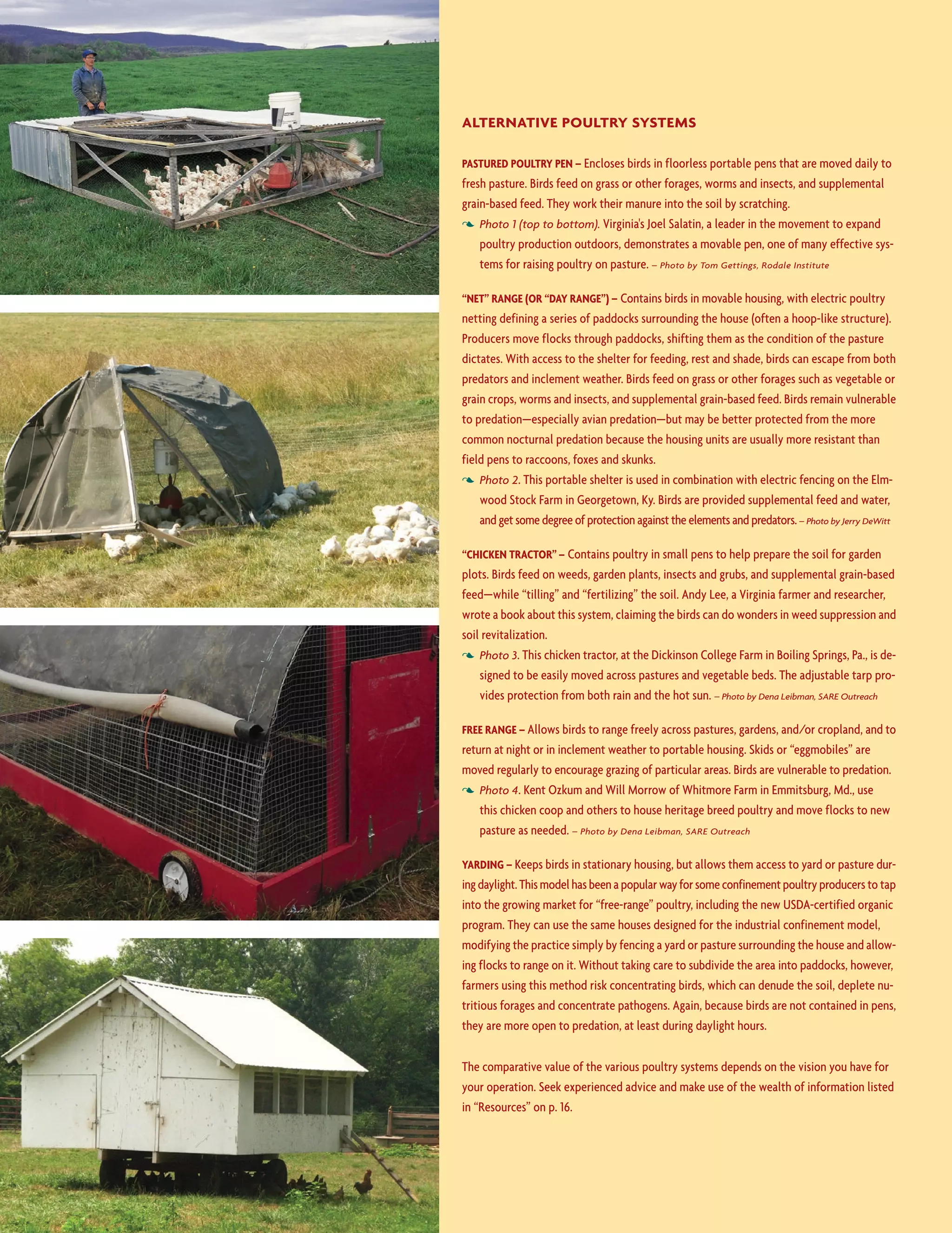 4
Alternative Poultry Systems
Pastured Poultry Pen – Encloses birds in floorless portable pens that are moved daily to
fresh pasture. Birds feed on grass or other forages, worms and insects, and supplemental
grain-based feed. They work their manure into the soil by scratching.
3 Photo 1 (top to bottom). Virginia's Joel Salatin, a leader in the movement to expand
poultry production outdoors, demonstrates a movable pen, one of many effective sys-
tems for raising poultry on pasture. – Photo by Tom Gettings, Rodale Institute
“Net” Range (or “Day Range”) – Contains birds in movable housing, with electric poultry
netting defining a series of paddocks surrounding the house (often a hoop-like structure).
Producers move flocks through paddocks, shifting them as the condition of the pasture
dictates. With access to the shelter for feeding, rest and shade, birds can escape from both
predators and inclement weather. Birds feed on grass or other forages such as vegetable or
grain crops, worms and insects, and supplemental grain-based feed. Birds remain vulnerable
to predation—especially avian predation—but may be better protected from the more
common nocturnal predation because the housing units are usually more resistant than
field pens to raccoons, foxes and skunks.
3 Photo 2. This portable shelter is used in combination with electric fencing on the Elm-
wood Stock Farm in Georgetown, Ky. Birds are provided supplemental feed and water,
and get some degree of protection against the elements and predators.– Photo by Jerry DeWitt
“Chicken Tractor” – Contains poultry in small pens to help prepare the soil for garden
plots. Birds feed on weeds, garden plants, insects and grubs, and supplemental grain-based
feed—while “tilling” and “fertilizing” the soil. Andy Lee, a Virginia farmer and researcher,
wrote a book about this system, claiming the birds can do wonders in weed suppression and
soil revitalization.
3 Photo 3. This chicken tractor, at the Dickinson College Farm in Boiling Springs, Pa., is de-
signed to be easily moved across pastures and vegetable beds. The adjustable tarp pro-
vides protection from both rain and the hot sun. – Photo by Dena Leibman, SARE Outreach
Free Range – Allows birds to range freely across pastures, gardens, and/or cropland, and to
return at night or in inclement weather to portable housing. Skids or “eggmobiles” are
moved regularly to encourage grazing of particular areas. Birds are vulnerable to predation.
3 Photo 4. Kent Ozkum and Will Morrow of Whitmore Farm in Emmitsburg, Md., use
this chicken coop and others to house heritage breed poultry and move flocks to new
pasture as needed. – Photo by Dena Leibman, SARE Outreach
Yarding – Keeps birds in stationary housing, but allows them access to yard or pasture dur-
ingdaylight.Thismodelhasbeenapopularwayforsomeconfinementpoultryproducers to tap
into the growing market for “free-range” poultry, including the new USDA-certified organic
program. They can use the same houses designed for the industrial confinement model,
modifying the practice simply by fencing a yard or pasture surrounding the house and allow-
ing flocks to range on it. Without taking care to subdivide the area into paddocks, however,
farmers using this method risk concentrating birds, which can denude the soil, deplete nu-
tritious forages and concentrate pathogens. Again, because birds are not contained in pens,
they are more open to predation, at least during daylight hours.
The comparative value of the various poultry systems depends on the vision you have for
your operation. Seek experienced advice and make use of the wealth of information listed
in “Resources” on p. 16.
 