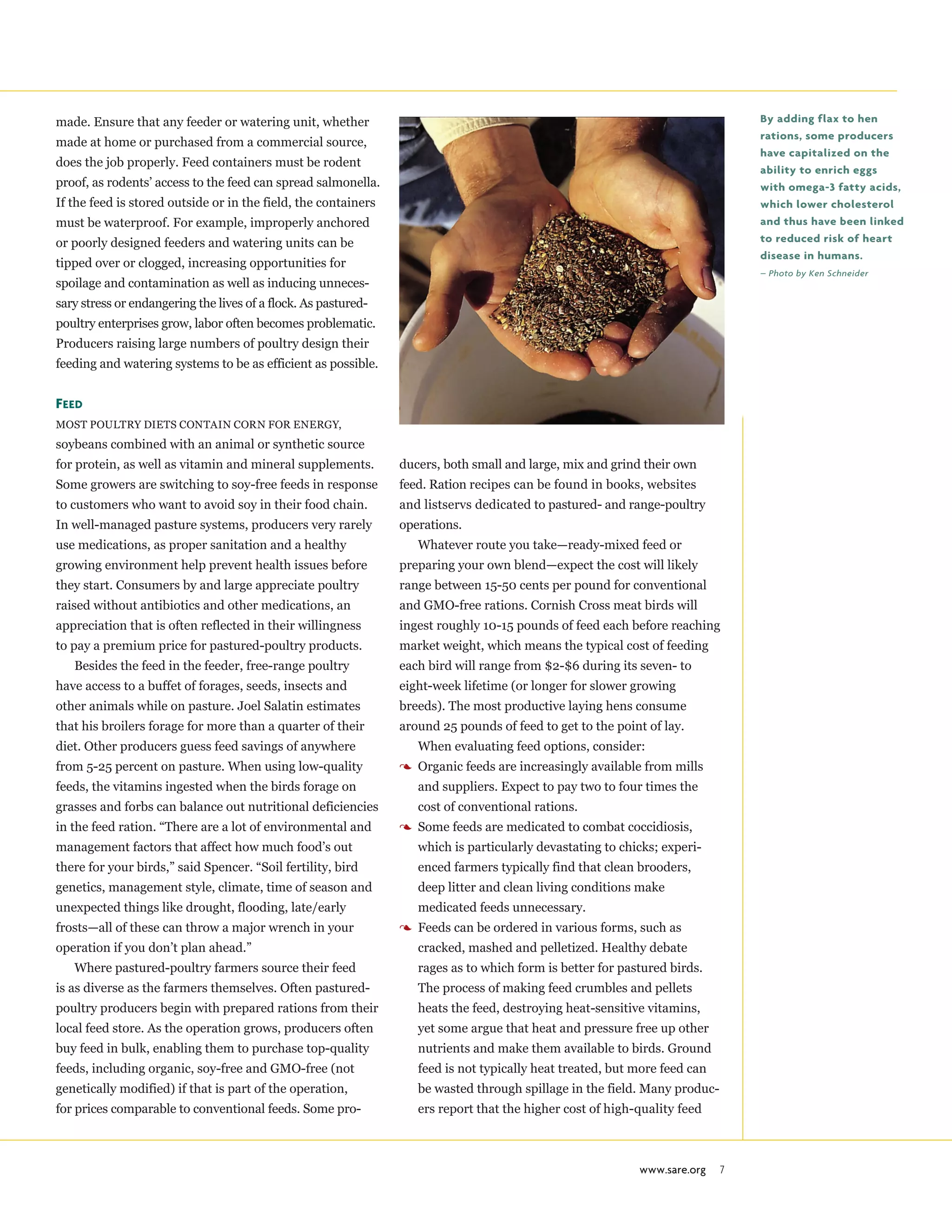 made. Ensure that any feeder or watering unit, whether
made at home or purchased from a commercial source,
does the job properly. Feed containers must be rodent
proof, as rodents’ access to the feed can spread salmonella.
If the feed is stored outside or in the field, the containers
must be waterproof. For example, improperly anchored
or poorly designed feeders and watering units can be
tipped over or clogged, increasing opportunities for
spoilage and contamination as well as inducing unneces-
sary stress or endangering the lives of a flock. As pastured-
poultry enterprises grow, labor often becomes problematic.
Producers raising large numbers of poultry design their
feeding and watering systems to be as efficient as possible.
Feed
Most poultry diets contain corn for energy,
soybeans combined with an animal or synthetic source
for protein, as well as vitamin and mineral supplements.
Some growers are switching to soy-free feeds in response
to customers who want to avoid soy in their food chain.
In well-managed pasture systems, producers very rarely
use medications, as proper sanitation and a healthy
growing environment help prevent health issues before
they start. Consumers by and large appreciate poultry
raised without antibiotics and other medications, an
appreciation that is often reflected in their willingness
to pay a premium price for pastured-poultry products.
Besides the feed in the feeder, free-range poultry
have access to a buffet of forages, seeds, insects and
other animals while on pasture. Joel Salatin estimates
that his broilers forage for more than a quarter of their
diet. Other producers guess feed savings of anywhere
from 5-25 percent on pasture. When using low-quality
feeds, the vitamins ingested when the birds forage on
grasses and forbs can balance out nutritional deficiencies
in the feed ration. “There are a lot of environmental and
management factors that affect how much food’s out
there for your birds,” said Spencer. “Soil fertility, bird
genetics, management style, climate, time of season and
unexpected things like drought, flooding, late/early
frosts—all of these can throw a major wrench in your
operation if you don’t plan ahead.”
Where pastured-poultry farmers source their feed
is as diverse as the farmers themselves. Often pastured-
poultry producers begin with prepared rations from their
local feed store. As the operation grows, producers often
buy feed in bulk, enabling them to purchase top-quality
feeds, including organic, soy-free and GMO-free (not
genetically modified) if that is part of the operation,
for prices comparable to conventional feeds. Some pro-
ducers, both small and large, mix and grind their own
feed. Ration recipes can be found in books, websites
and listservs dedicated to pastured- and range-poultry
operations.
Whatever route you take—ready-mixed feed or
preparing your own blend—expect the cost will likely
range between 15-50 cents per pound for conventional
and GMO-free rations. Cornish Cross meat birds will
ingest roughly 10-15 pounds of feed each before reaching
market weight, which means the typical cost of feeding
each bird will range from $2-$6 during its seven- to
eight-week lifetime (or longer for slower growing
breeds). The most productive laying hens consume
around 25 pounds of feed to get to the point of lay.
When evaluating feed options, consider:
3	Organic feeds are increasingly available from mills
and suppliers. Expect to pay two to four times the
cost of conventional rations.
3	Some feeds are medicated to combat coccidiosis,
which is particularly devastating to chicks; experi-
enced farmers typically find that clean brooders,
deep litter and clean living conditions make
medicated feeds unnecessary.
3	Feeds can be ordered in various forms, such as
cracked, mashed and pelletized. Healthy debate
rages as to which form is better for pastured birds.
The process of making feed crumbles and pellets
heats the feed, destroying heat-sensitive vitamins,
yet some argue that heat and pressure free up other
nutrients and make them available to birds. Ground
feed is not typically heat treated, but more feed can
be wasted through spillage in the field. Many produc-
ers report that the higher cost of high-quality feed
www.sare.org 7
By adding flax to hen
rations, some producers
have capitalized on the
ability to enrich eggs
with omega-3 fatty acids,
which lower cholesterol
and thus have been linked
to reduced risk of heart
disease in humans.
– Photo by Ken Schneider
 