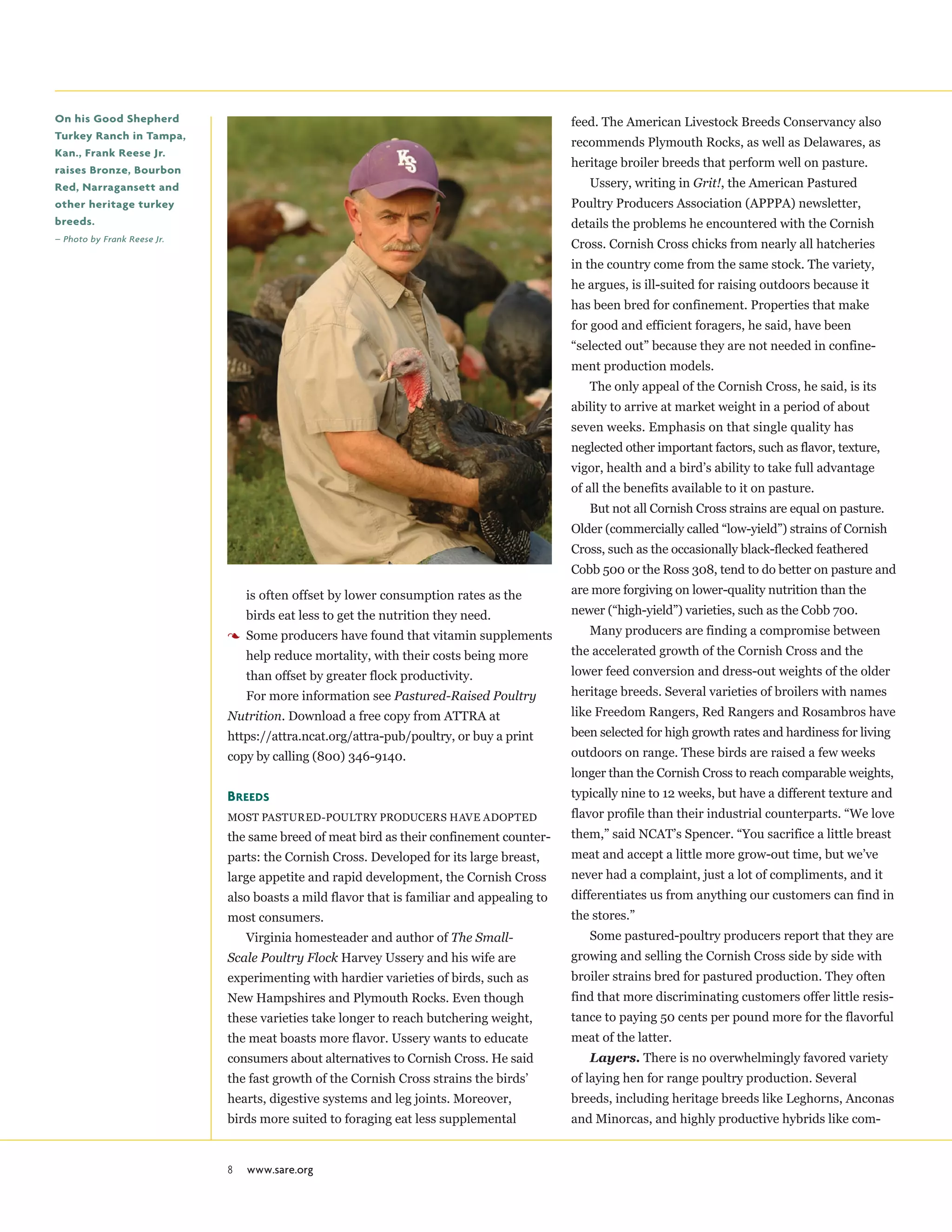 8 www.sare.org
is often offset by lower consumption rates as the
birds eat less to get the nutrition they need.
3	Some producers have found that vitamin supplements
help reduce mortality, with their costs being more
than offset by greater flock productivity.
For more information see Pastured-Raised Poultry
Nutrition. Download a free copy from ATTRA at
https://attra.ncat.org/attra-pub/poultry, or buy a print
copy by calling (800) 346-9140.
Breeds
Most pastured-poultry producers have adopted
the same breed of meat bird as their confinement counter-
parts: the Cornish Cross. Developed for its large breast,
large appetite and rapid development, the Cornish Cross
also boasts a mild flavor that is familiar and appealing to
most consumers.
Virginia homesteader and author of The Small-
Scale Poultry Flock Harvey Ussery and his wife are
experimenting with hardier varieties of birds, such as
New Hampshires and Plymouth Rocks. Even though
these varieties take longer to reach butchering weight,
the meat boasts more flavor. Ussery wants to educate
consumers about alternatives to Cornish Cross. He said
the fast growth of the Cornish Cross strains the birds’
hearts, digestive systems and leg joints. Moreover,
birds more suited to foraging eat less supplemental
feed. The American Livestock Breeds Conservancy also
recommends Plymouth Rocks, as well as Delawares, as
heritage broiler breeds that perform well on pasture.
Ussery, writing in Grit!, the American Pastured
Poultry Producers Association (APPPA) newsletter,
details the problems he encountered with the Cornish
Cross. Cornish Cross chicks from nearly all hatcheries
in the country come from the same stock. The variety,
he argues, is ill-suited for raising outdoors because it
has been bred for confinement. Properties that make
for good and efficient foragers, he said, have been
“selected out” because they are not needed in confine-
ment production models.
The only appeal of the Cornish Cross, he said, is its
ability to arrive at market weight in a period of about
seven weeks. Emphasis on that single quality has
neglected other important factors, such as flavor, texture,
vigor, health and a bird’s ability to take full advantage
of all the benefits available to it on pasture.
But not all Cornish Cross strains are equal on pasture.
Older (commercially called “low-yield”) strains of Cornish
Cross, such as the occasionally black-flecked feathered
Cobb 500 or the Ross 308, tend to do better on pasture and
are more forgiving on lower-quality nutrition than the
newer (“high-yield”) varieties, such as the Cobb 700.
Many producers are finding a compromise between
the accelerated growth of the Cornish Cross and the
lower feed conversion and dress-out weights of the older
heritage breeds. Several varieties of broilers with names
like Freedom Rangers, Red Rangers and Rosambros have
been selected for high growth rates and hardiness for living
outdoors on range. These birds are raised a few weeks
longer than the Cornish Cross to reach comparable weights,
typically nine to 12 weeks, but have a different texture and
flavor profile than their industrial counterparts. “We love
them,” said NCAT’s Spencer. “You sacrifice a little breast
meat and accept a little more grow-out time, but we’ve
never had a complaint, just a lot of compliments, and it
differentiates us from anything our customers can find in
the stores.”
Some pastured-poultry producers report that they are
growing and selling the Cornish Cross side by side with
broiler strains bred for pastured production. They often
find that more discriminating customers offer little resis-
tance to paying 50 cents per pound more for the flavorful
meat of the latter.
Layers. There is no overwhelmingly favored variety
of laying hen for range poultry production. Several
breeds, including heritage breeds like Leghorns, Anconas
and Minorcas, and highly productive hybrids like com-
On his Good Shepherd
Turkey Ranch in Tampa,
Kan., Frank Reese Jr.
raises Bronze, Bourbon
Red, Narragansett and
other heritage turkey
breeds.
– Photo by Frank Reese Jr.
 