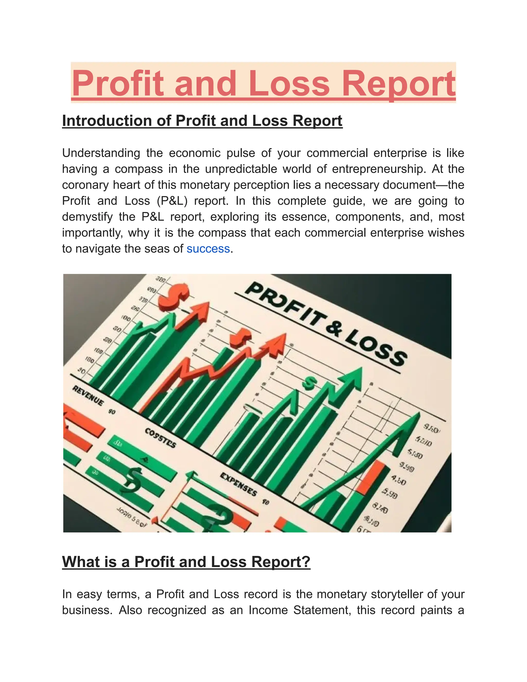 Profit and Loss Report.pdf