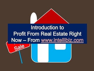 Profit from real estate investing by www.intellibiz.com