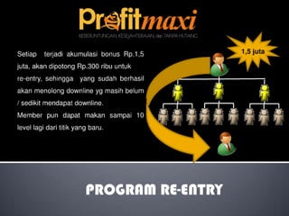 Profitmaxi