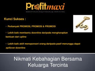 Profitmaxi