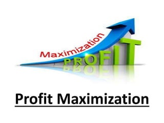Profit Maximization
 