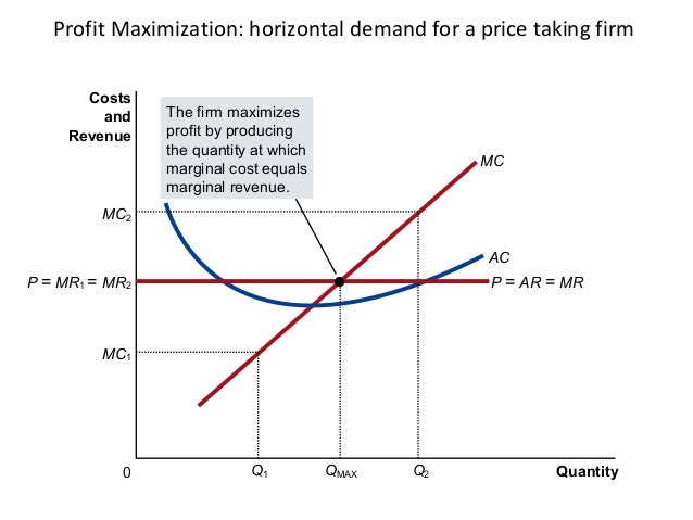 profit maximization