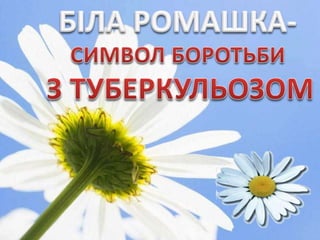 https://image.slidesharecdn.com/proflaktikatuberkuloza-140319023856-phpapp02/85/prof-laktika-tuberkuloza-2-320.jpg?cb=1672186607