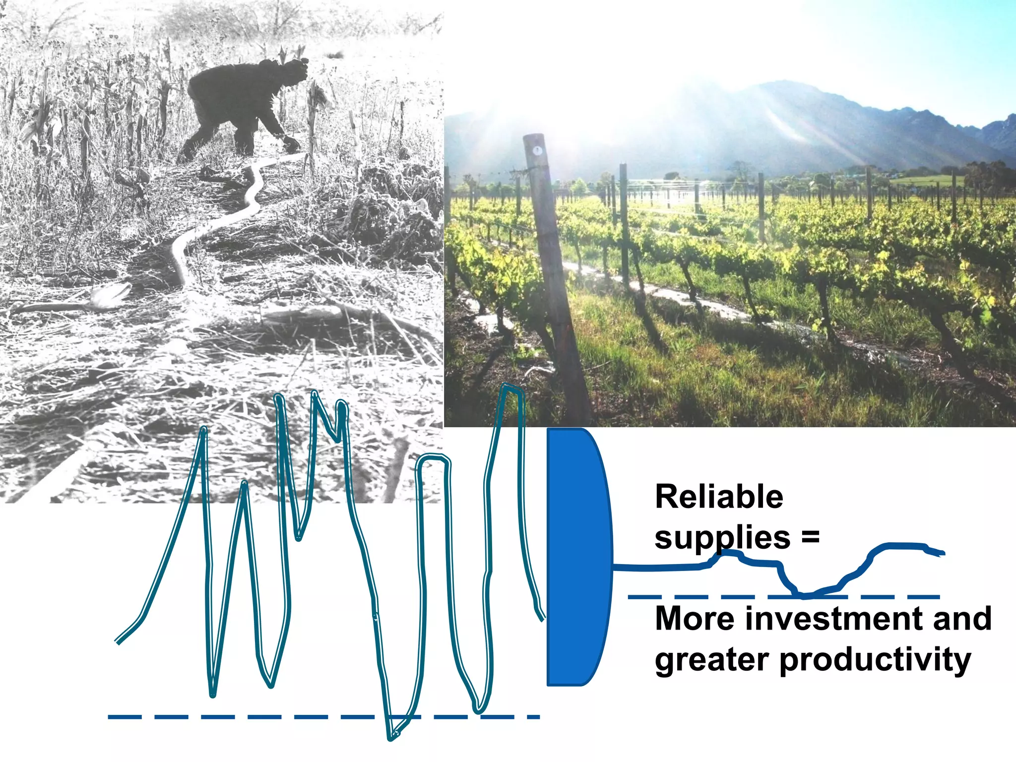 Reliable
supplies =

More investment and
greater productivity
 