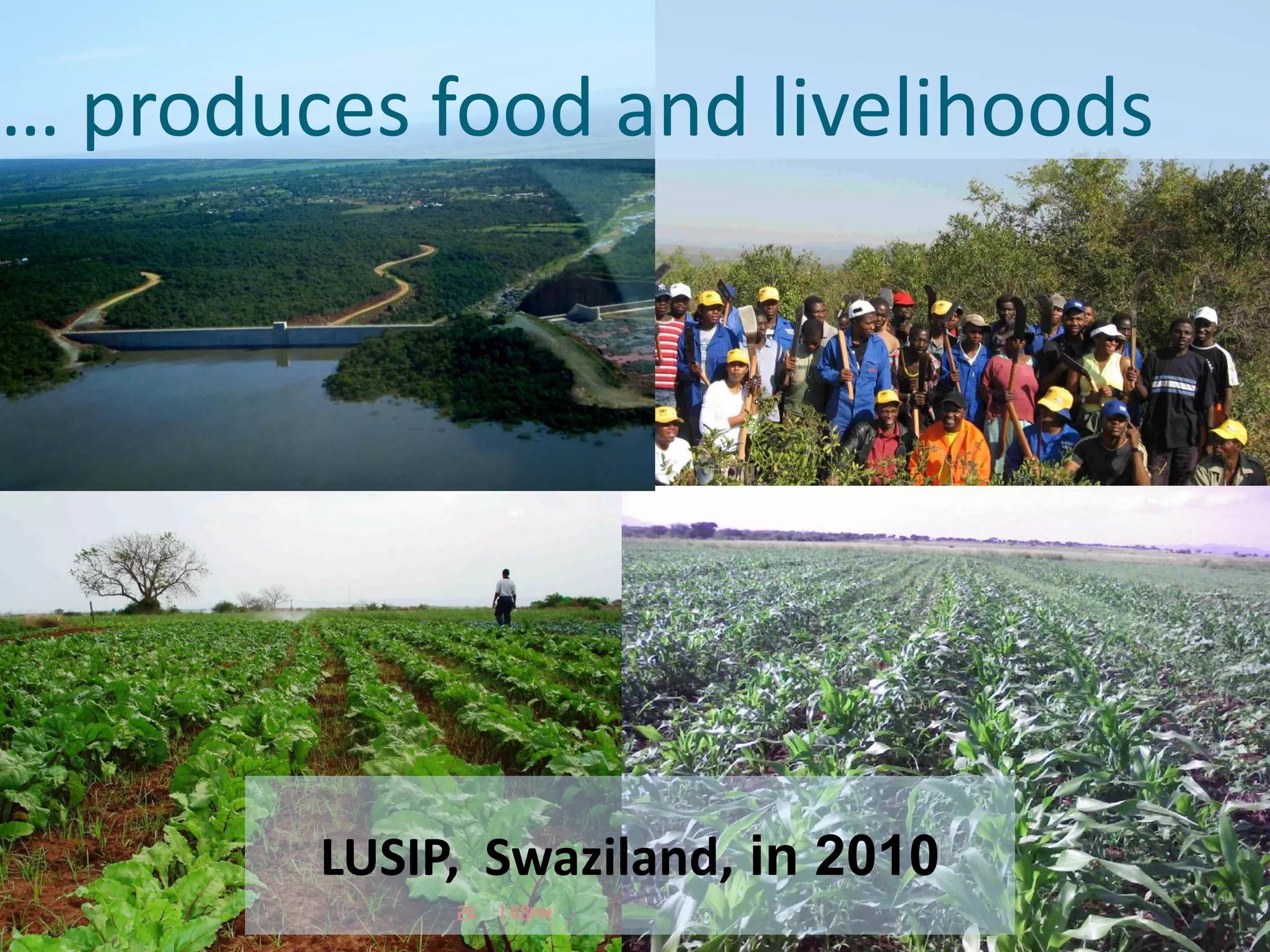 … produces food and livelihoods




        LUSIP, Swaziland, in 2010
 
