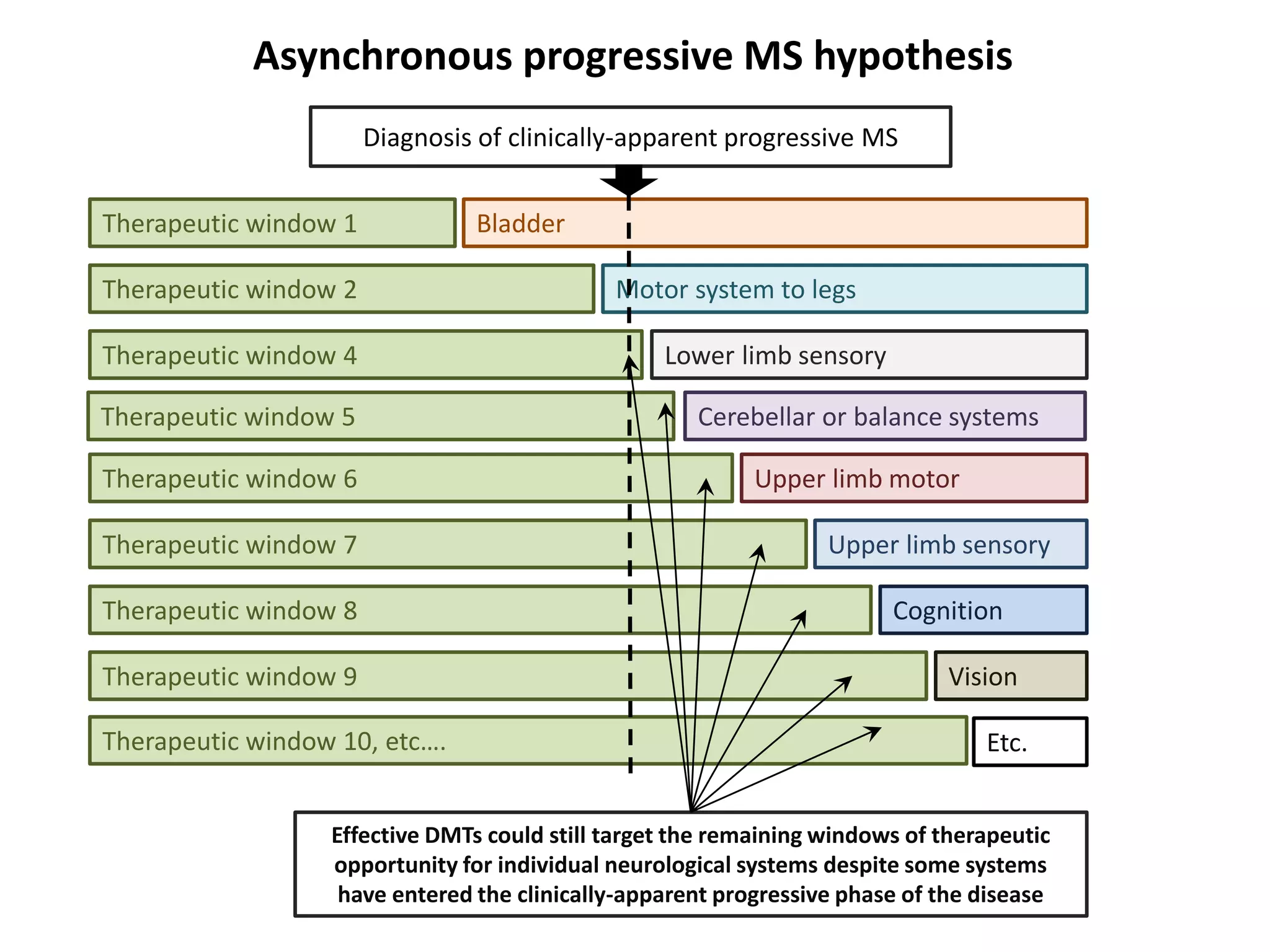 Therapeutic window 5
Asynchronous progressive MS hypothesis
Motor system to legs
Lower limb sensory
BladderTherapeutic window 1
Therapeutic window 2
Therapeutic window 4
Upper limb sensory
Upper limb motor
Cognition
Vision
Etc.
Therapeutic window 6
Therapeutic window 7
Therapeutic window 8
Therapeutic window 9
Therapeutic window 10, etc….
Diagnosis of clinically-apparent progressive MS
Effective DMTs could still target the remaining windows of therapeutic
opportunity for individual neurological systems despite some systems
have entered the clinically-apparent progressive phase of the disease
Cerebellar or balance systems
 