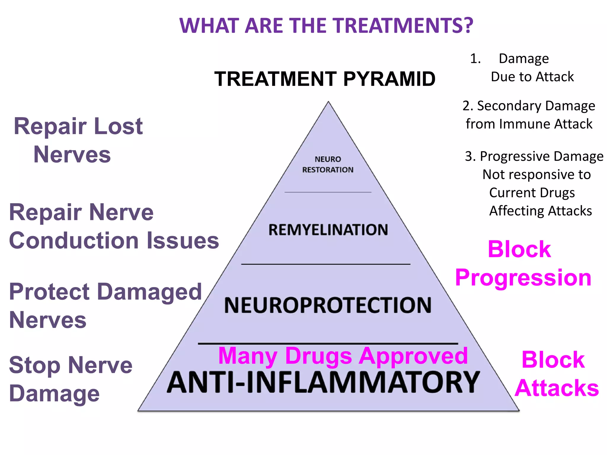 TREATMENT PYRAMID
Stop Nerve
Damage
Protect Damaged
Nerves
WHAT ARE THE TREATMENTS?
Repair Nerve
Conduction Issues
Repair Lost
Nerves
Block
Attacks
Block
Progression
Many Drugs Approved
1. Damage
Due to Attack
2. Secondary Damage
from Immune Attack
3. Progressive Damage
Not responsive to
Current Drugs
Affecting Attacks
 